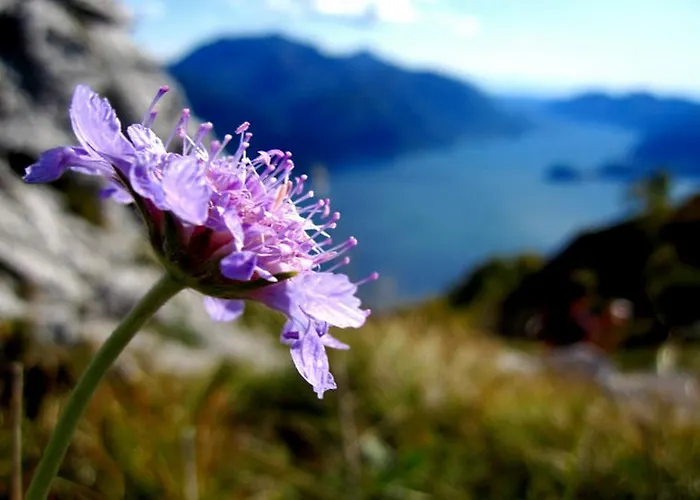 Poggio Fiorito Loggetta Menaggio
